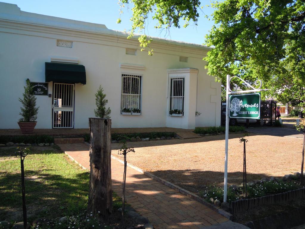 Avenues Guest House 斯泰伦博斯 外观 照片